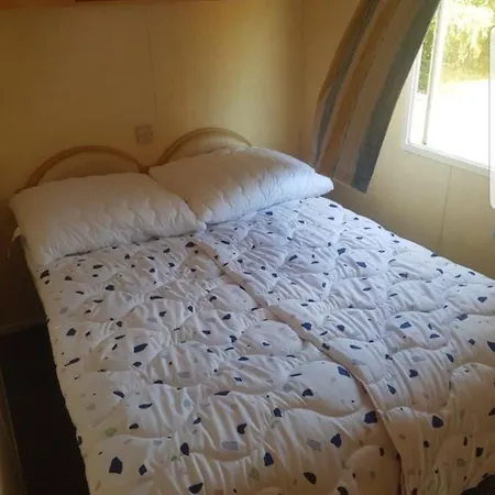 Z Tarasem スヲーネガシエ