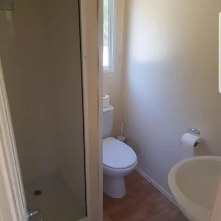 Z Tarasem スヲーネガシエ