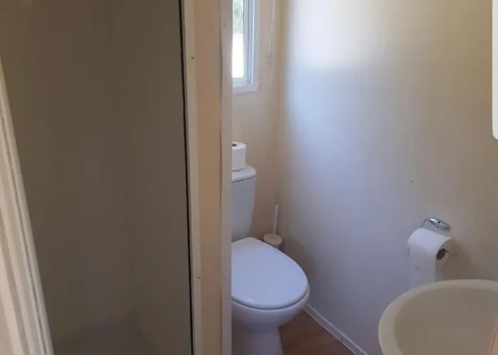 Z Tarasem سورنيغاسي